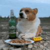 https://upforme.ru/uploads/001b/fe/58/65/t583978.gif