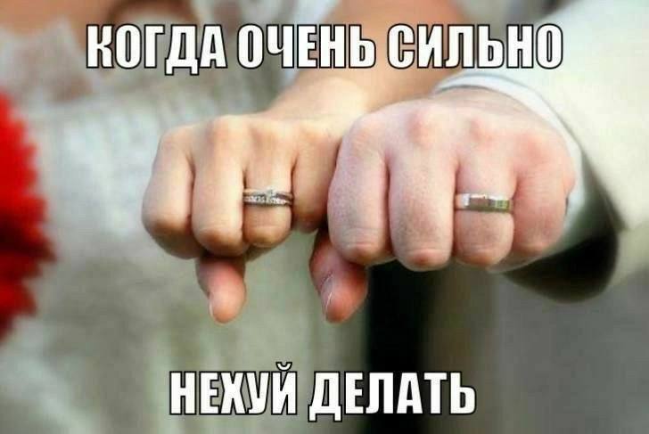 https://upforme.ru/uploads/001b/fe/97/147/984026.jpg