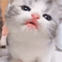 smalimg