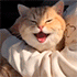 smalimg