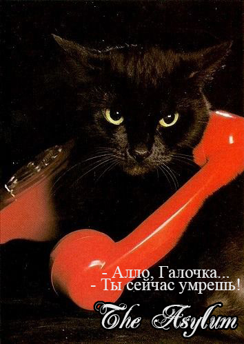 https://upforme.ru/uploads/001b/ff/1c/2/121212.jpg