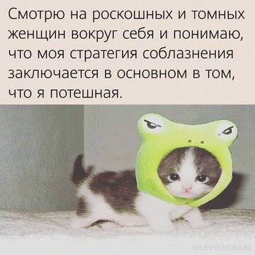 https://upforme.ru/uploads/001b/ff/2a/1537/t229313.jpg
