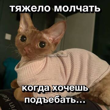 https://upforme.ru/uploads/001b/ff/2a/1537/t355310.jpg