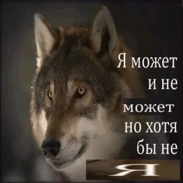 https://upforme.ru/uploads/001b/ff/2a/2112/388266.jpg