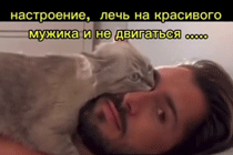 https://upforme.ru/uploads/001b/ff/2a/27/488133.gif