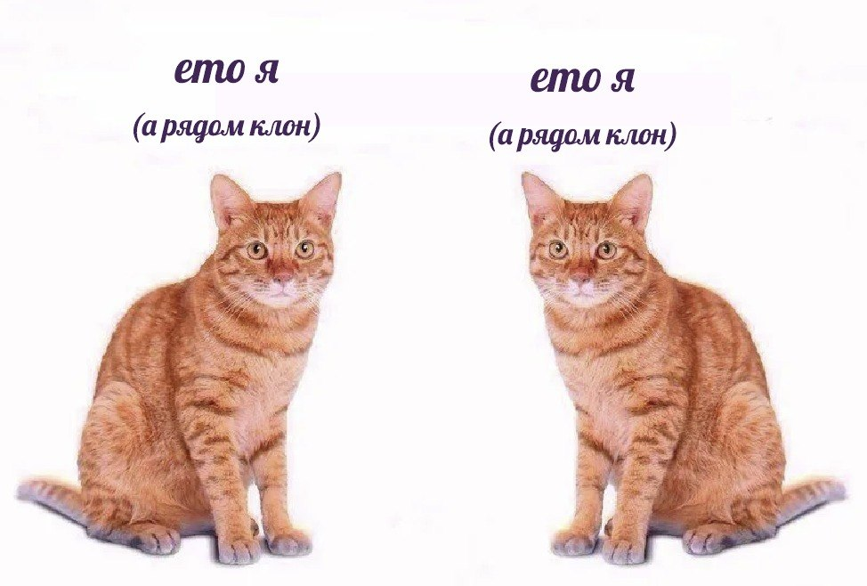 https://upforme.ru/uploads/001b/ff/2a/301/535043.png
