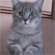 https://upforme.ru/uploads/001b/ff/2a/4/26610.gif