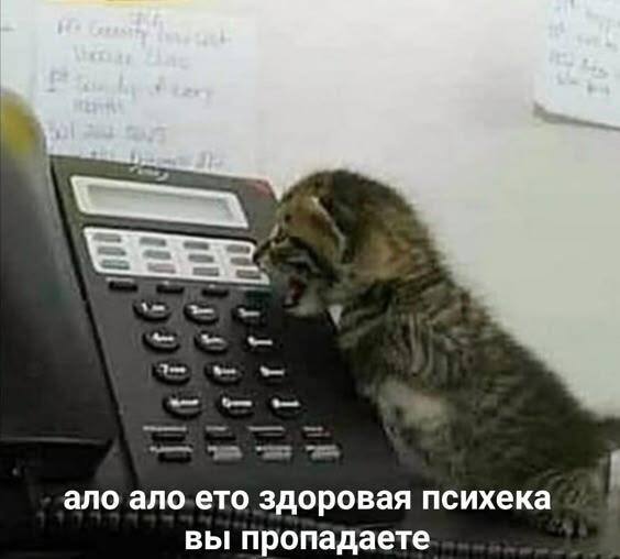 https://upforme.ru/uploads/001b/ff/2a/468/65667.jpg
