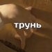 https://upforme.ru/uploads/001b/ff/2a/52/40160.png