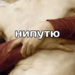 https://upforme.ru/uploads/001b/ff/2a/52/791273.png