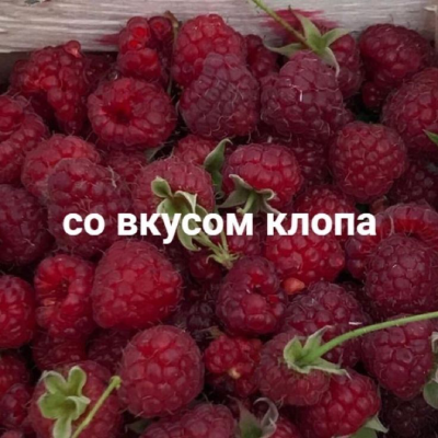 https://upforme.ru/uploads/001b/ff/2a/685/123691.png