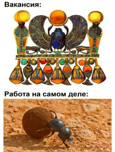 https://upforme.ru/uploads/001b/ff/2a/685/333863.png
