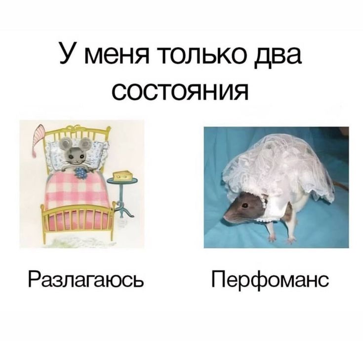 https://upforme.ru/uploads/001c/01/01/2/30882.jpg