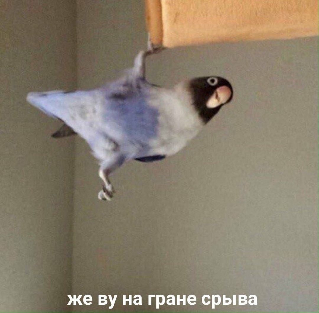https://upforme.ru/uploads/001c/01/01/2/783376.jpg