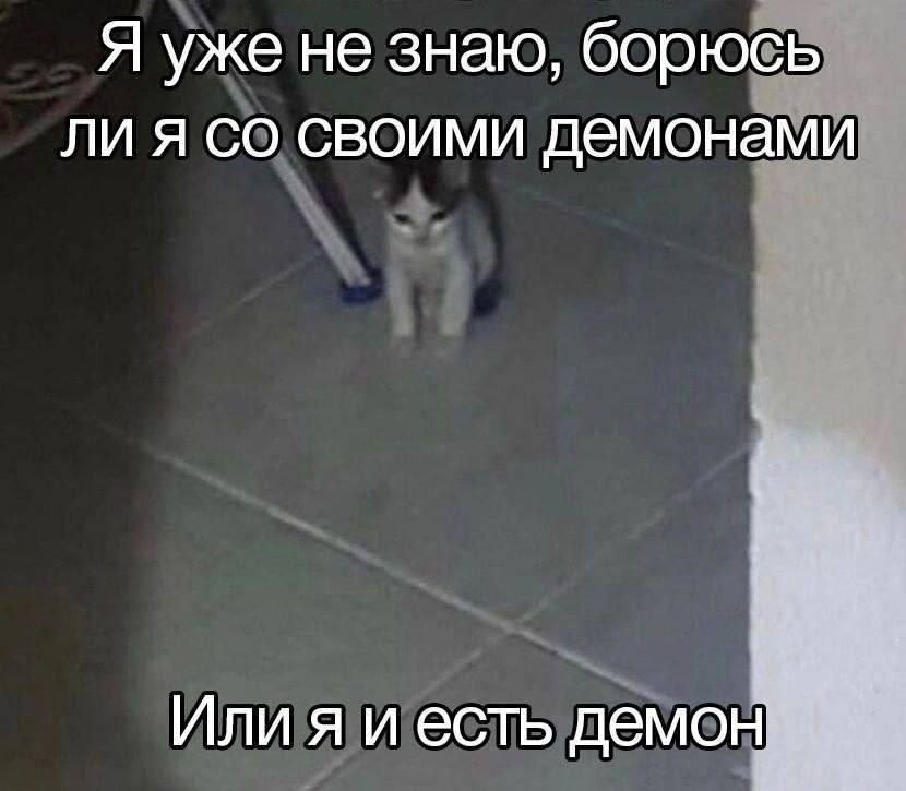https://upforme.ru/uploads/001c/01/81/5/531104.jpg