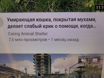 https://upforme.ru/uploads/001c/01/81/7/t363736.jpg