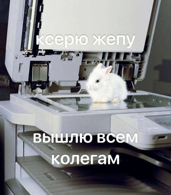 https://upforme.ru/uploads/001c/03/d1/167/453711.jpg