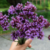 https://upforme.ru/uploads/001c/03/d1/6/766659.png