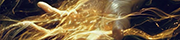 https://upforme.ru/uploads/001c/03/d9/215/814941.png