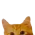 https://upforme.ru/uploads/001c/03/d9/86/176885.png