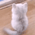 https://upforme.ru/uploads/001c/03/d9/86/55838.gif