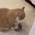 https://upforme.ru/uploads/001c/03/d9/86/666424.gif