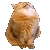 https://upforme.ru/uploads/001c/03/d9/86/777836.gif
