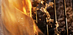 https://upforme.ru/uploads/001c/04/73/93/94983.gif