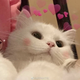 https://upforme.ru/uploads/001c/04/be/3/497523.png
