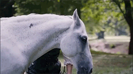 https://upforme.ru/uploads/001c/08/62/117/453635.gif