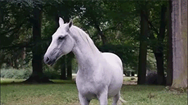 https://upforme.ru/uploads/001c/08/62/117/750399.gif