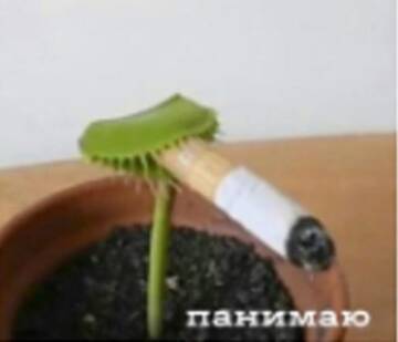 https://upforme.ru/uploads/001c/08/7c/8/t542349.jpg