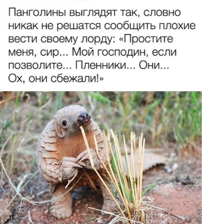 https://upforme.ru/uploads/001c/09/ad/3/816246.jpg