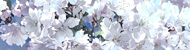 https://upforme.ru/uploads/001c/0b/06/5/891739.png