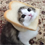 https://upforme.ru/uploads/001c/0b/06/7/851993.png