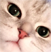 https://upforme.ru/uploads/001c/0c/80/5/224251.png