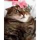 https://upforme.ru/uploads/001c/0c/80/5/619427.png