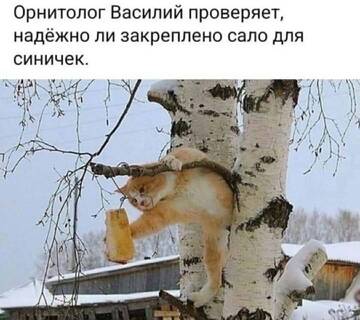 https://upforme.ru/uploads/001c/0d/00/2/t68767.jpg