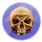 https://upforme.ru/uploads/001c/0e/35/3/976428.png