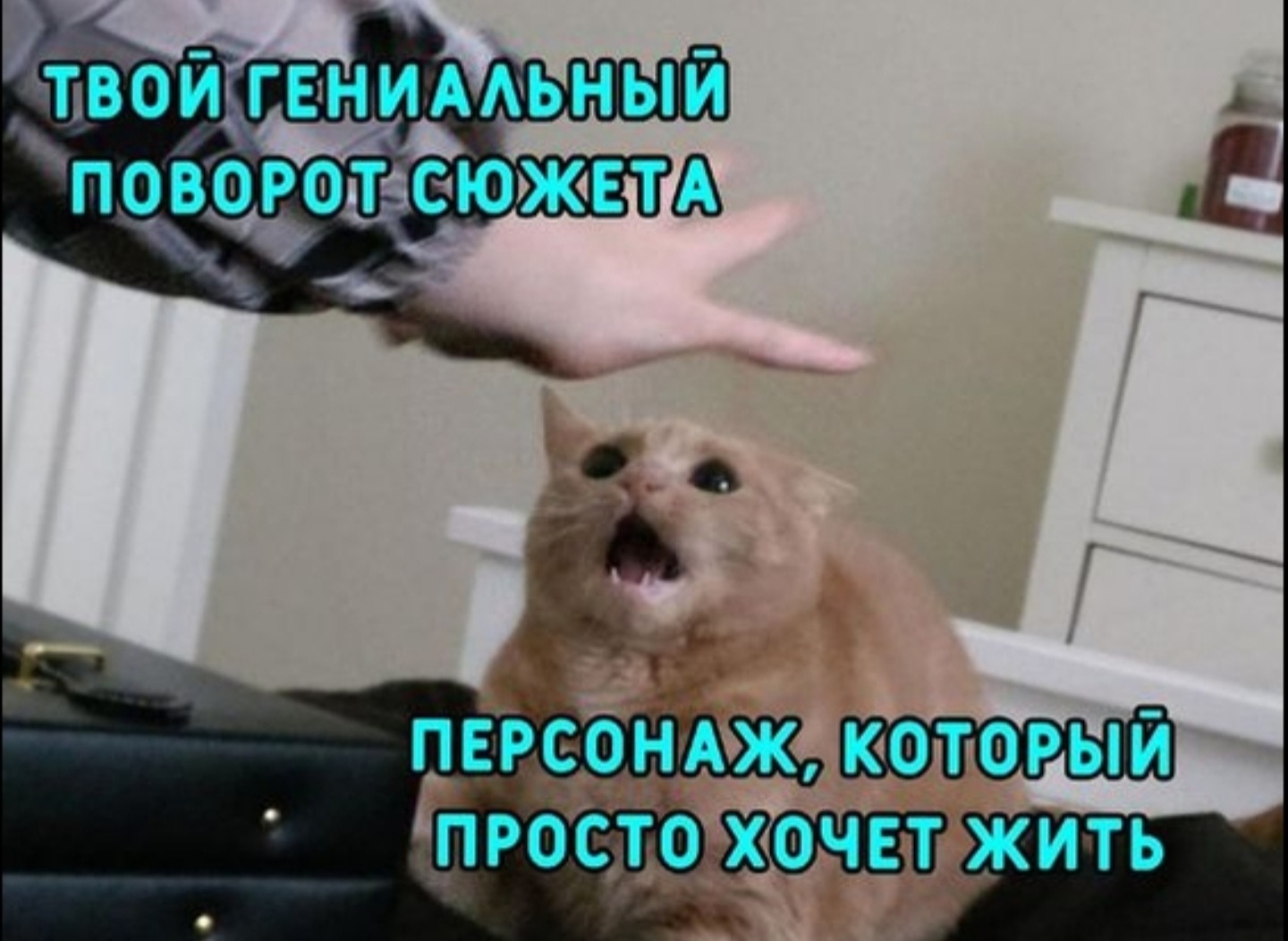 https://upforme.ru/uploads/001c/0e/40/5/184139.jpg