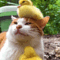 https://upforme.ru/uploads/001c/0f/f1/121/t145122.gif