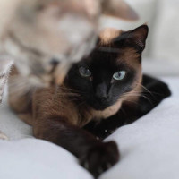 https://upforme.ru/uploads/001c/0f/f4/18/t965053.jpg