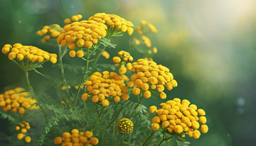 https://upforme.ru/uploads/001c/0f/f4/2/t771468.png