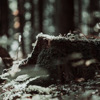 https://upforme.ru/uploads/001c/0f/f4/37/698350.jpg