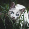 https://upforme.ru/uploads/001c/0f/f4/39/407130.png