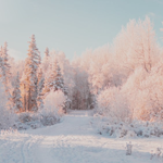 https://upforme.ru/uploads/001c/0f/f4/39/432341.png