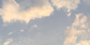 https://upforme.ru/uploads/001c/10/53/2/183395.png
