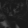 https://upforme.ru/uploads/001c/13/a4/2/195721.png
