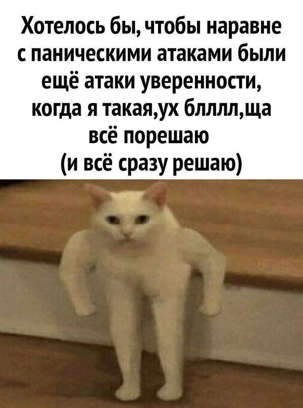 https://upforme.ru/uploads/001c/14/53/12/t767374.jpg