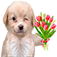 https://upforme.ru/uploads/001c/14/53/3/317661.png